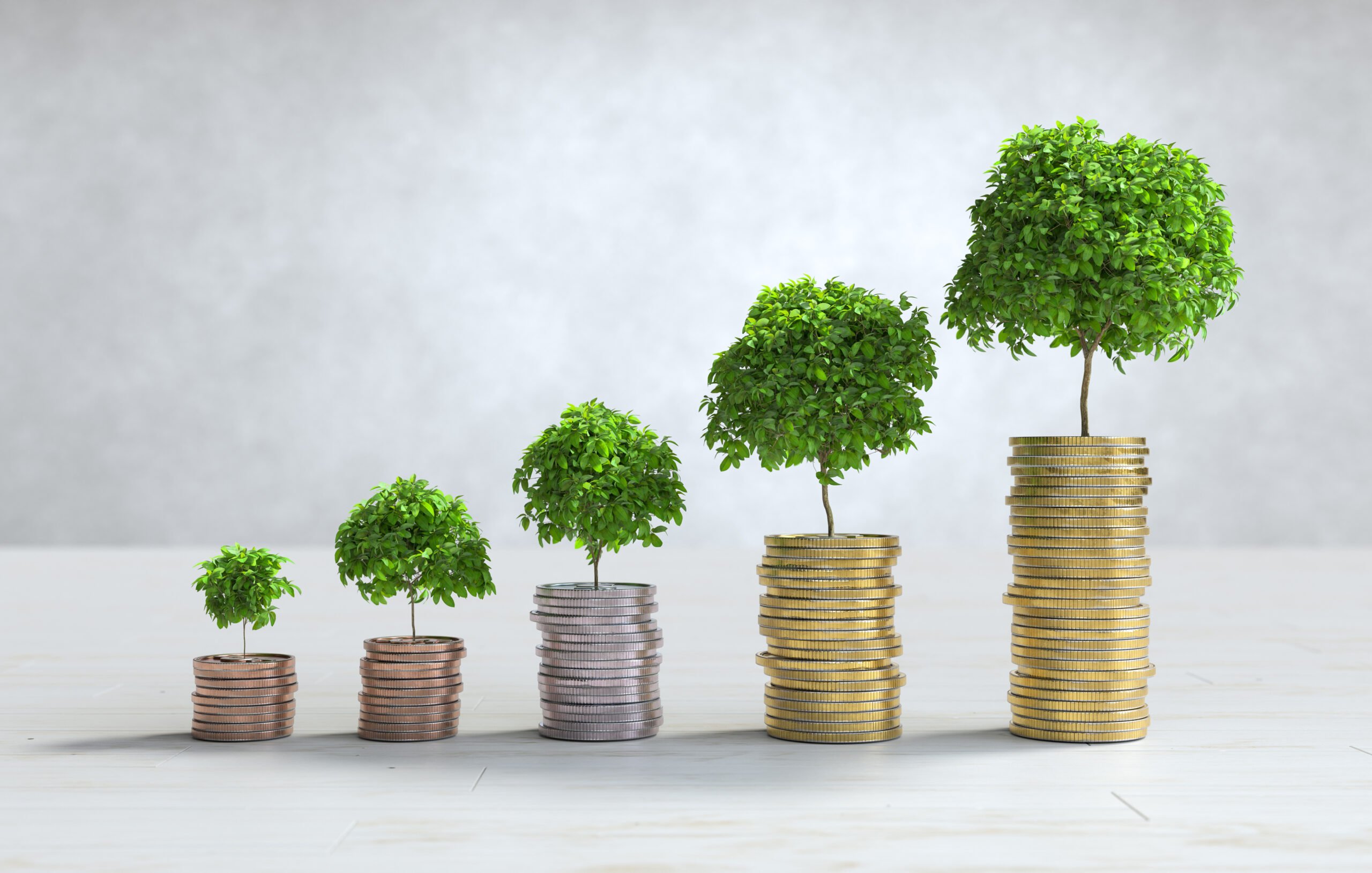 Go Green With Your Investments: A Beginner’s Guide To Green Bonds